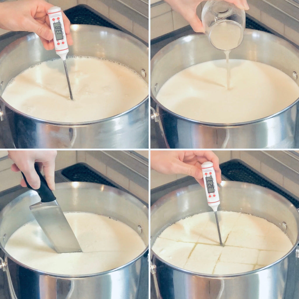 Homemade Cheese Making kit 自家製チーズ I LOVE CHEESE Japan