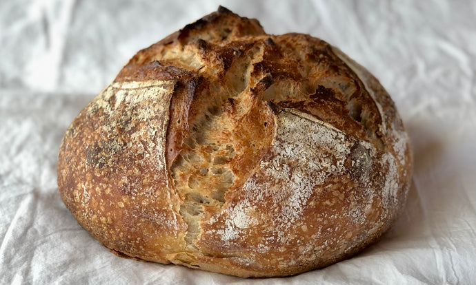 Sourdough Wholemeal whole loaf 870g　サワードウ 全粒粉 ホールローフ 870g